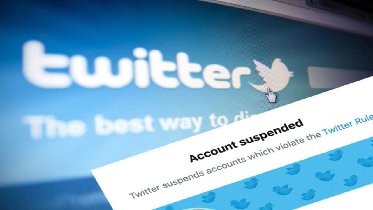 how to view suspended twitter accounts
