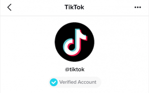 TikTok influencer 